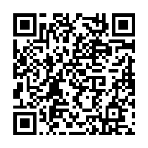 他发现王家山两只眼瞪得像是牛眼一样看着丁长生二维码生成