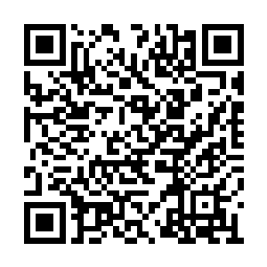 他发现自己居然还多出来一个额外的职业专长来二维码生成