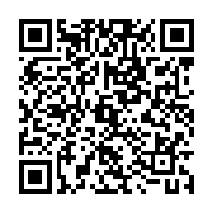 他发现自己竟然在人群中没有找到许紫烟和乘万里二维码生成