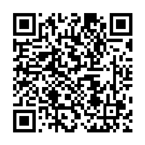 他只好将自己的几件外套全都从衣橱里翻出来放在了床上二维码生成