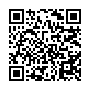 他只好把注意力再次转移到这团纸巾上二维码生成