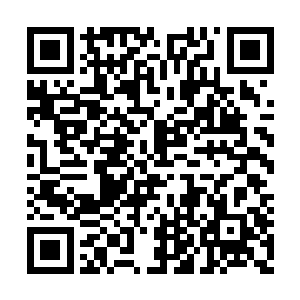 他只拿眼神示意殿内的嬷嬷按照贡妃的意思执行二维码生成