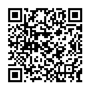 他只是偶尔给师傅端茶送饭的时候有过匆匆几撇二维码生成