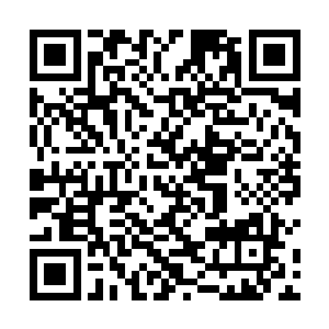 他只是希望得到这个山峰的修士能够在有能力的条件下二维码生成