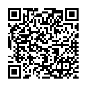 他只是想知道樊小钗是否后悔为了个素未谋面的男人就白白赴死二维码生成