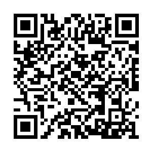 他只是扫了扫其中几个修行还不错的家伙的元灵二维码生成