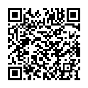他只知道魔形术士在努曼人里也是少数中的少数二维码生成