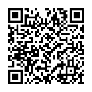 他只能怒气冲冲的带着四五千的南楚学生回去了二维码生成