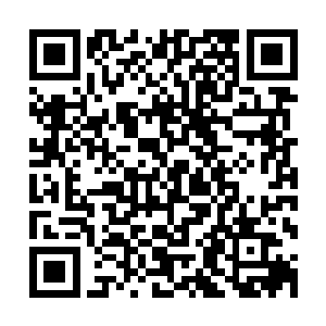 他只能祈祷下一个婴儿的身体和即将降临的那个家伙比较契合二维码生成