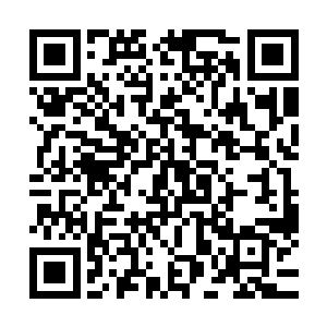 他只要顺着诛邪网扑杀的方向跑就行――那小子的身法也不错二维码生成