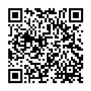 他可不想最后功亏一篑被洪天朝看出什么破绽出來二维码生成