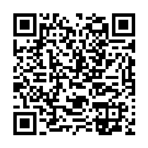 他可不想被锅铲铲开脑门之后发现满脑袋都是攀来爬去的蚰蜒二维码生成