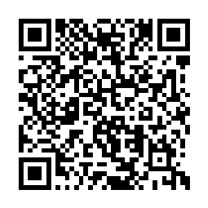 他可不想让那个在幕后想害死自己的人太过高兴二维码生成