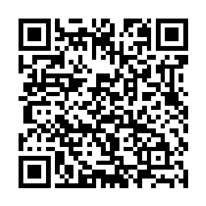 他可以利用生命能量在这里模拟出任何他想要的场景二维码生成