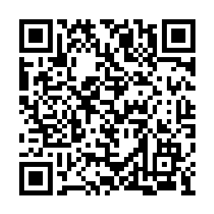 他可以帮助小穿沙甲真正进化到穿沙甲人的地步二维码生成