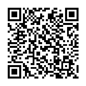 他可以清晰感受到雨果肩膀上那堪比阿尔卑斯山的压力二维码生成