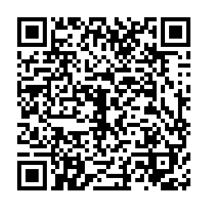 他可以清楚扫描到维修车间内多达一千四百二十五台晶脑的数据库二维码生成