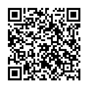 他可以满足这个位面顶尖强者的愿望――突破更高层次二维码生成