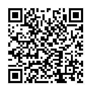 他可以说是方族之中对于方家的血脉研究最深的人二维码生成