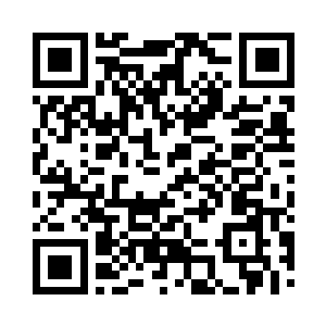 他可以近距离地看到雨果的每一个细节二维码生成