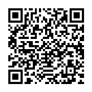 他可以随便找个借口就将这事情的责任给加到杨晨和赵羽的头上二维码生成