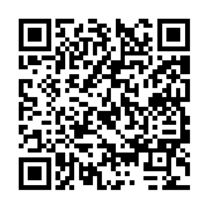 他可可不想晚餐的时候他一个人在汗流浃背地烤鸡二维码生成