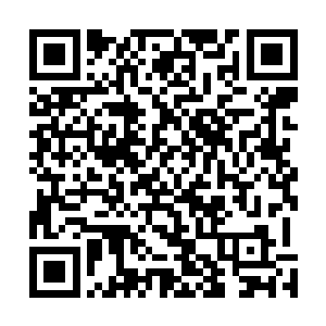 他可怜的自尊心就建立在别人对他姐姐的尊敬和爱护上面二维码生成