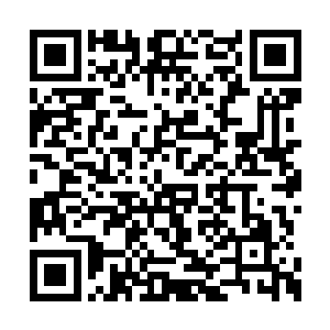 他可是在万象后期境界积累了数百年法力的巨龙二维码生成