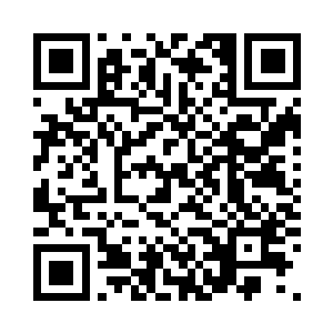 他和龙野两个人加在一起就是十多个二维码生成