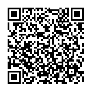 他喵的不就是从开书以来一直把咱压得死死的原始么……只有100票的差距二维码生成