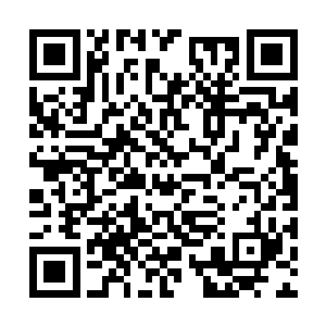 他在回来的路上拉住跟萧黎进殿的那名太监问过了二维码生成