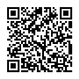他在罗森要塞群购买了一头温顺的岩石蜥蜴作为自己的坐骑二维码生成