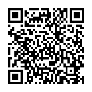 他垂眼看到的又是那个坚强倔强又古灵精怪的小女子二维码生成