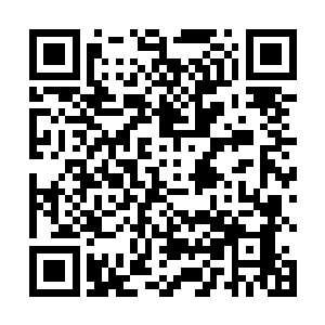 他堂堂绿草门的太上大长老居然蹲下身子去捡这些东西二维码生成