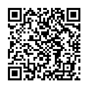 他如今已经切实体会到了在自身小乾坤内圈养生灵的好处二维码生成