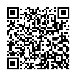 他如果不是第一次碰巧选到了那个藏有石头蛋的深洞二维码生成