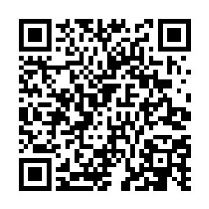 他完全不懂对方是如何在自己的血海笼罩下幸存的二维码生成