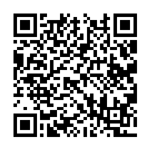 他完全是凭借着自己雄厚的实力才战胜啸风狼王的二维码生成