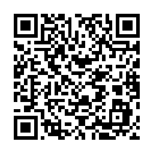 他实在是做梦也没想过这个小小的人类竟然还有此等神通二维码生成