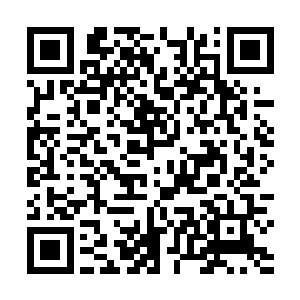 他害怕自己再也无法做可口的饭菜给他的市长姐姐品尝二维码生成