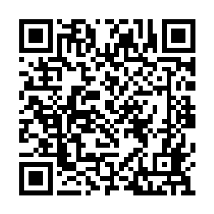 他家祭司大人一定隐瞒了他什么非常重要的事情二维码生成