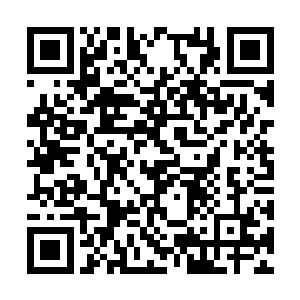 他对于其他几位主演的情绪都分别做出过一些指点二维码生成