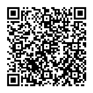 他对于秦方的实力也是一点把握都没有的……眼前的这个维拉实力比他强大了许多二维码生成