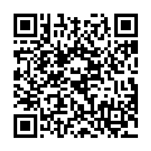 他对于自己已经被花花世界的人改造是完全没有感觉的二维码生成