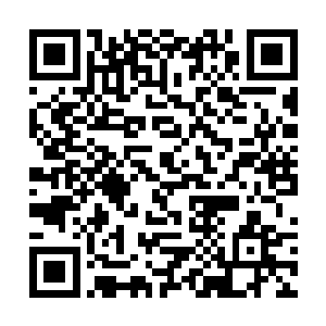 他对黑龙非常信任――虽然他知道以龙族的漫长寿元二维码生成