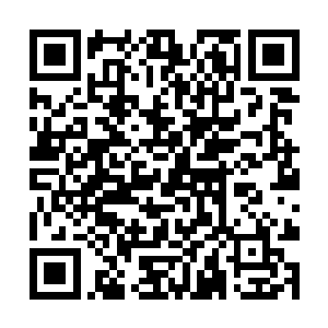 他封印的那些信息都是他经过了无尽岁月的探索以后二维码生成