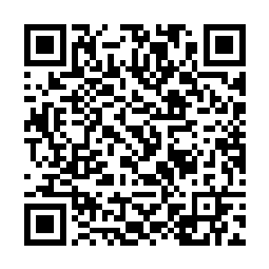 他将和罗迪一起配合驾驶飞机――并且重新接管飞机二维码生成