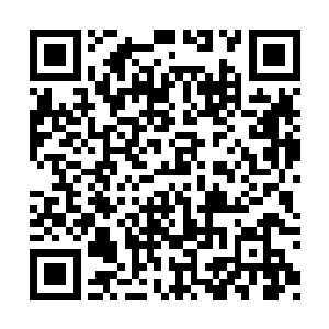他将小毛啾送给他的那些石头全部收进了肚子里二维码生成