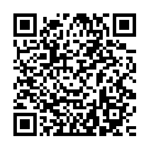 他将轩辕诗画和弓腰姬还有那九品妖狼此时并未从城中界带出二维码生成