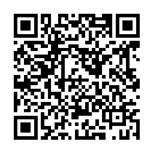 他就一直在被坑……偏偏他被坑的一点脾气都没有二维码生成